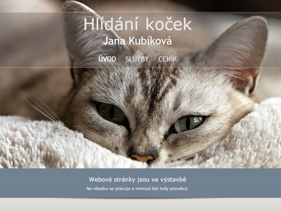 Hlídání koček